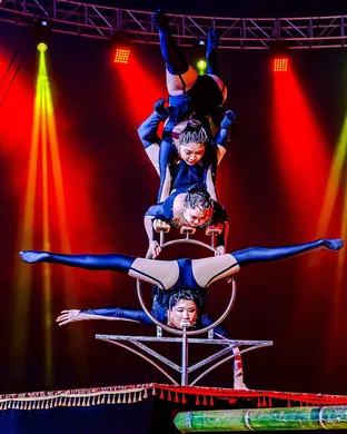 Garden Bros Nuclear Circus Grayslake