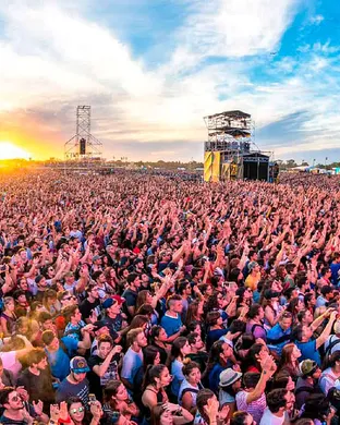 Lolla Mchenry