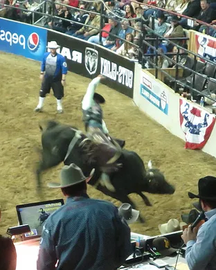Pro Bull Riding