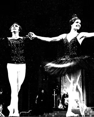 Swan Lake Waukegan
