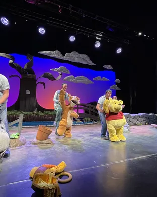 Winnie The Pooh Milwaukee